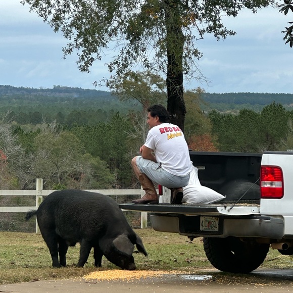 Meet your Posher, Ren?e - Picture 4 of 11